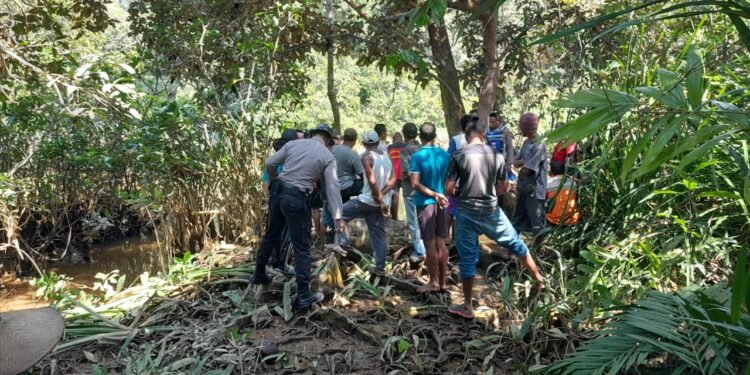 Lagi, Seorang Pria di Terkam Buaya saat Tengah BAB di Pinggir Sungai, Korban ditemukan dalam kondisi Tidak Bernyawa