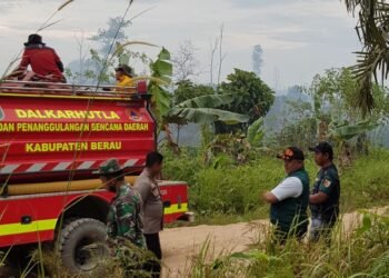 Pantau Pengendalian Karhutla di Labanan, Wabup Ingatkan Pencegahan Dini Digalakkan