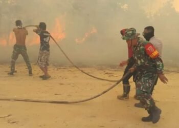 Tak Perlu Menunggu Waktu Lama, Babinsa Koramil 0902-04/TRD Bersama Tim BPBD dan Warga Binaan Padamkan Karhutlah di Labanan Makmur