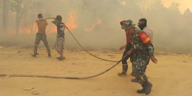 Tak Perlu Menunggu Waktu Lama, Babinsa Koramil 0902-04/TRD Bersama Tim BPBD dan Warga Binaan Padamkan Karhutlah di Labanan Makmur