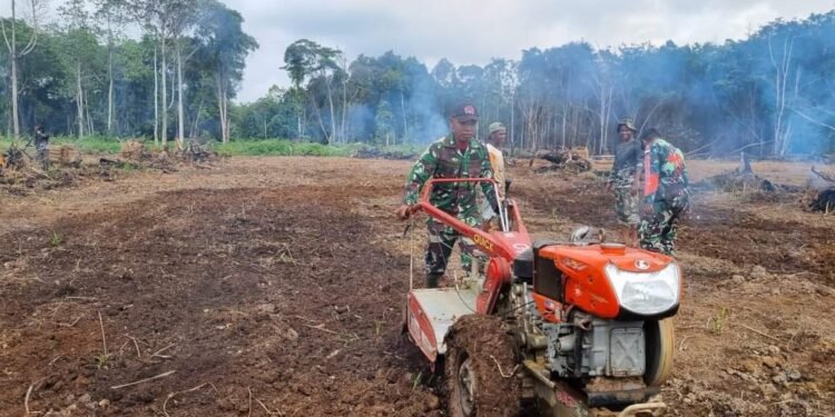 Dukung Ketahanan Pangan, Satgas TMMD Ke-118 Gotong Royong Buka Lahan Pertanian Baru
