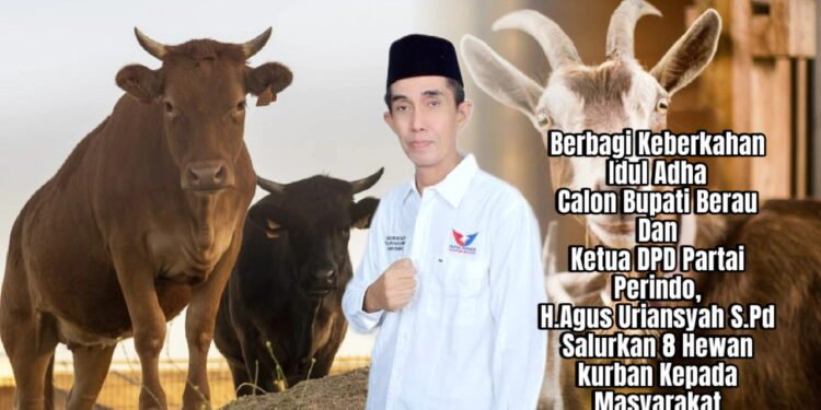 Berbagi Keberkahan di Hari Raya Idul Adha, H.Agus Uriansyah Salurkan 8 Hewan Kurban kepada Masyarakat